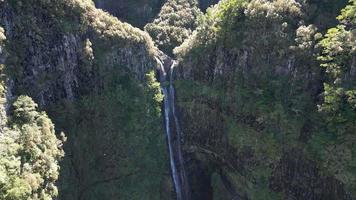 Aerial of the beautiful waterfall in the middle of the dense green forest video