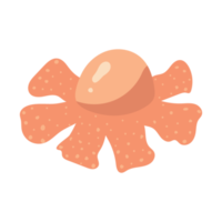 Squid isolated with cartoon style png