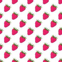 Seamless pattern of raspberries white background. vector