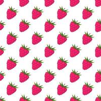 Seamless pattern of raspberries white background. vector