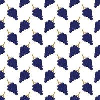 Seamless pattern with blue grapes on a white background. vector