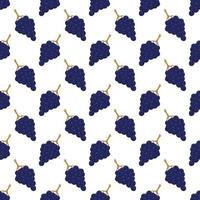 Seamless pattern with blue grapes on a white background. vector