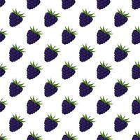 Blackberry seamless pattern on white background. vector