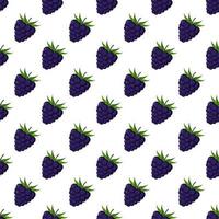 Blackberry seamless pattern on white background. vector