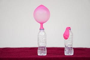 Science experiment , pink inflated balloons and flat balloon  on top of transparent test bottles. Concept, science experiment about reaction of chemical substance, vinegar and baking soda. photo