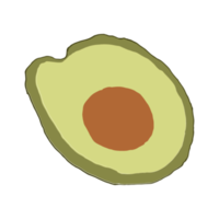 Avocado fruit hand drawing. Half avocado isolated png