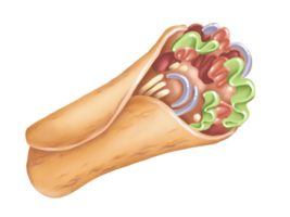 burrito calle alimento. digital ilustración png