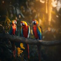 Colorful macaws perched on a tree's branch photo