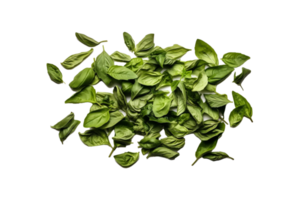 basil png transparent background