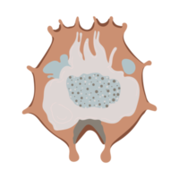 plâncton, água pulga, zooplâncton ícone. colorida desenho animado fofa animal ícone isolado png