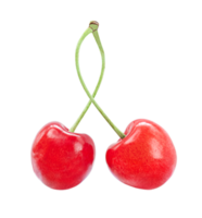 paire de sucré cerises isolé sur transparent Contexte. Stock photo png