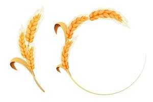 Set Wreath from spikelet, frame, border golden color wheat circle in cartoon style isolated on white background. For bakery, tags or labels. Vector illustration