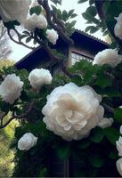 manojo de blanco flores colgando desde un árbol. generativo ai. foto