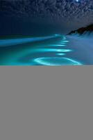 large body of water sitting on top of a sandy beach. . photo