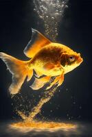 image of a gold fish in the water. . photo