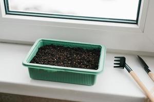 Container with peat and planted seeds with a garden tool at home on the windowsill photo