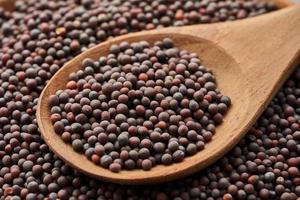 black mustard seed in wood spoon on wooden table background photo