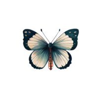 aguarela borboleta . ai gerado png