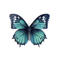 aquarelle papillon . ai généré png