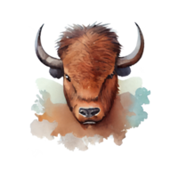 aquarelle bison . ai généré png