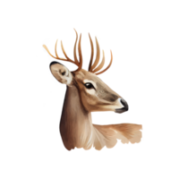 Watercolor Deer . AI Generated png