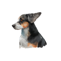 Aquarell Hund . ai generiert png