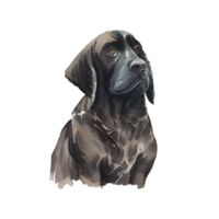 vattenfärg hund . ai genererad png