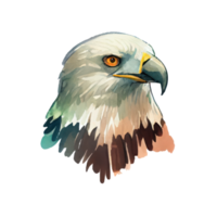 Watercolor Eagle . AI Generated png