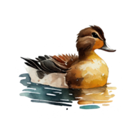 Aquarell Ente . ai generiert png