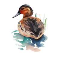 Watercolor Duck . AI Generated png