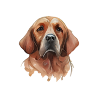 vattenfärg hund . ai genererad png