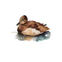 acuarela Pato . ai generado png