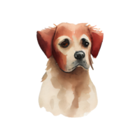 vattenfärg hund . ai genererad png