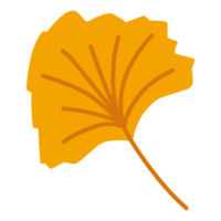 Autumn Leaves For Decorations png