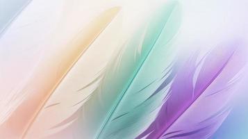 Colorful feathers background, soft pastel colors, abstract background. photo