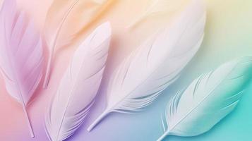 Colorful feathers background, soft pastel colors, abstract background. photo