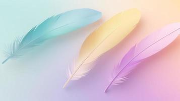 Colorful feathers background, soft pastel colors, abstract background. photo