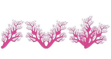 Coral icons set. Border for your design. Vector illustration isolated on white background.