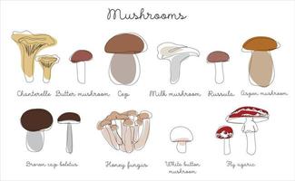 Mushrooms drawn in one line with colored elements. Set of mushrooms . Vector illustration