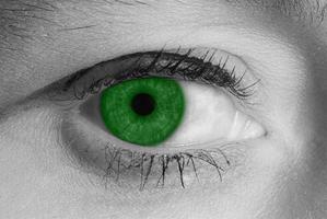 green eye macro photo