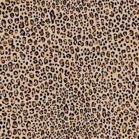 Jaguar, leopard, cheetah, panther skin pattern. Animal background with small spots vector