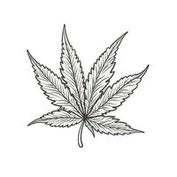 Marijuana leaf. Hand drawn design element cannabis. Vintage black vector engraving illustration for label, poster, web. . photo