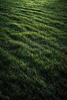 Field of fresh green grass texture as a background, top close up view. Generative Ai. photo