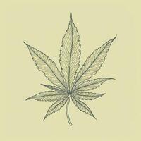 Marijuana leaf. Hand drawn design element cannabis. Vintage black vector engraving illustration for label, poster, web. . photo