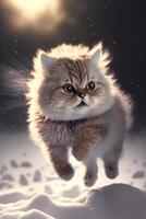 cat that is running in the snow. . photo
