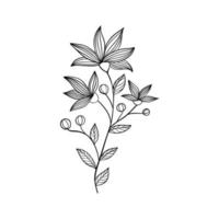 vector ilustración aislado en blanco antecedentes. negro líneas flores íconos colocar. vector aislado floral elementos.