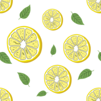 citroen en bladeren patroon illustratie png