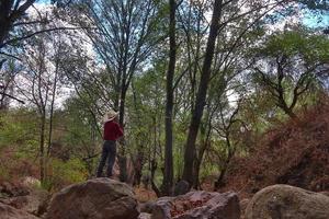 Man in a cowboy hat is standing in the woods looking at the sky with agriculture hope. photo