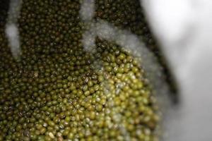 photo of green beans in a white sack