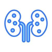 Kidney vector modern design, an human organ icon